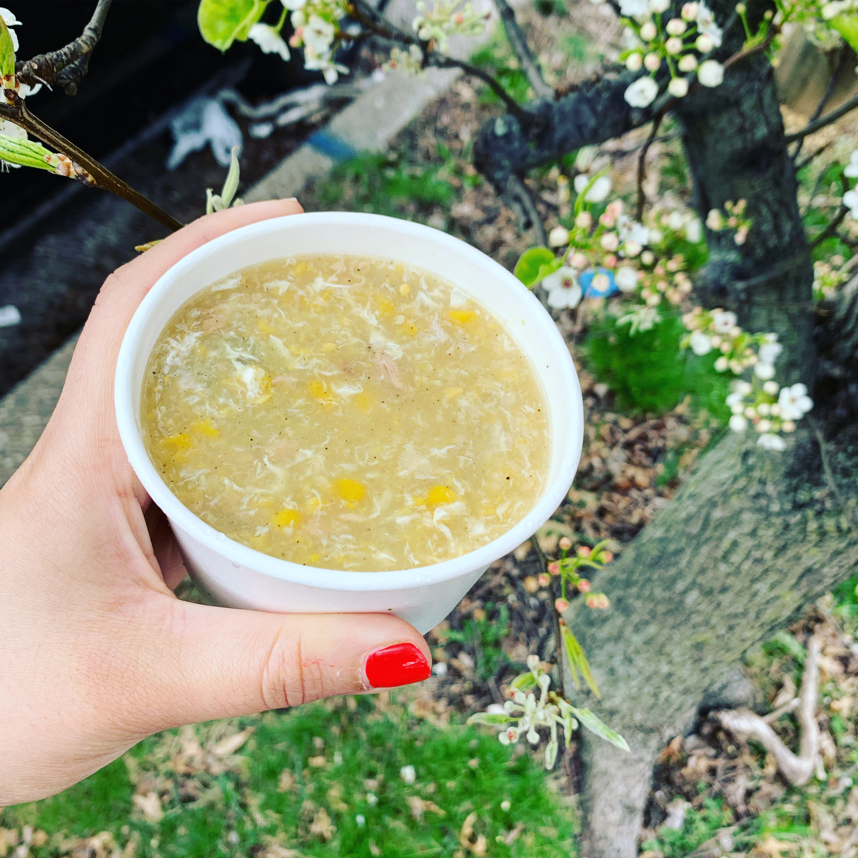 47D2A6DF-4C79-4793-8BEA-39AFD03B68FF